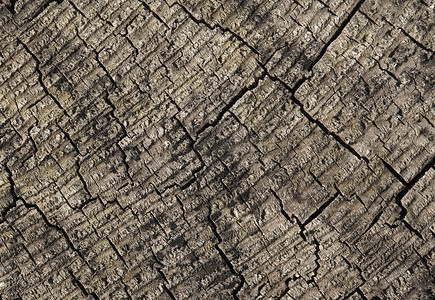 木材开裂摄影照片_抽象开裂的木头