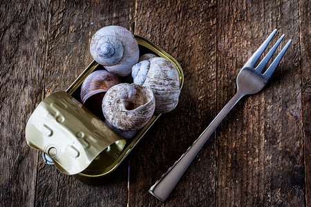 蜗牛壳摄影照片_蜗牛壳和锡罐在一张木老桌上