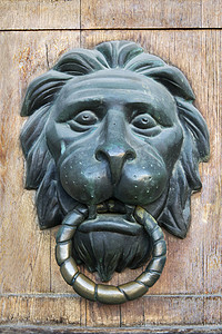 设计门头摄影照片_狮子头形状的门把手