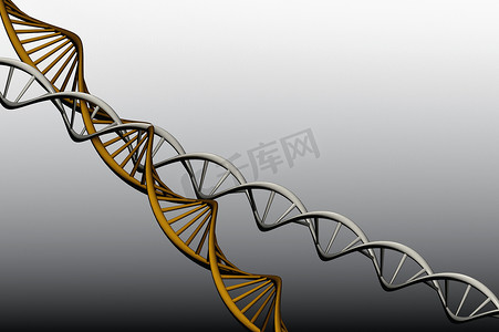 3d细胞模型摄影照片_扭曲 DNA 的 3D 模型。