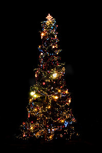 圣诞树摄影照片_圣诞树灯