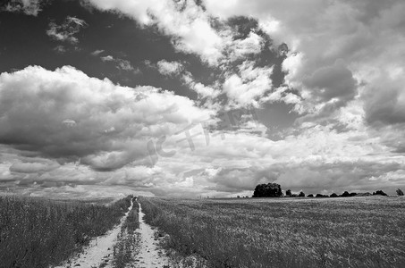 黑白风景摄影照片_与路和云彩的黑白农村风景