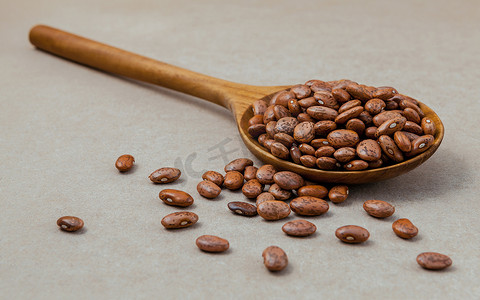 棕背木勺中生斑豆的成分