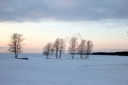 蓝色冰丝摄影照片_带有一丝薰衣草的冬季景观