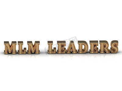 MLM LEADERS - 亮金色字母