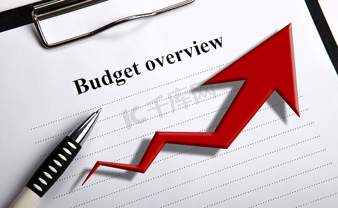 带有标题预算概览和图表的文件