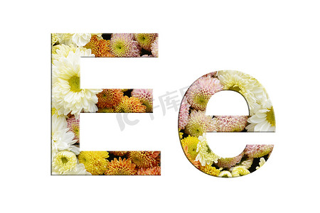 花朵字母摄影照片_字母 E 和 e，从白色背景上的花朵中分离出来的字母