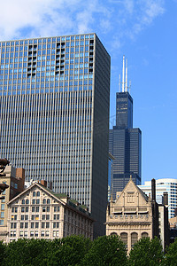 芝加哥 - 威利斯大厦