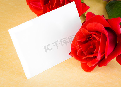红玫瑰和空白礼品卡，用于羊皮纸背景上的文字