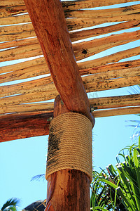 palapa 热带墨西哥木小屋屋顶细节