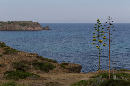 圣安蒂奥科海岸撒丁岛