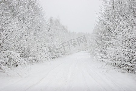 下雪路摄影照片_美丽的冬季景观与冬季森林中的雪路。