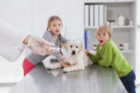 兽医在害怕的主人面前为狗使用注射器