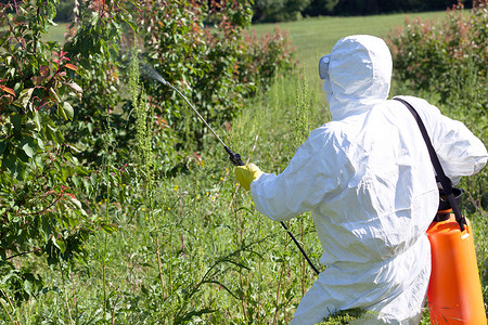 农药化肥包装袋摄影照片_农民在果园喷洒有毒农药或杀虫剂