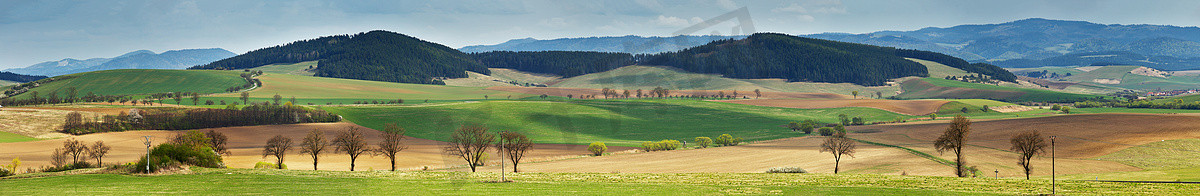斯洛伐克的绿色春山。