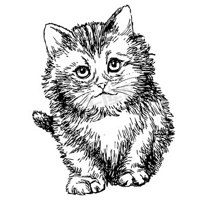 手绘宝宝摄影照片_可爱的小猫手绘