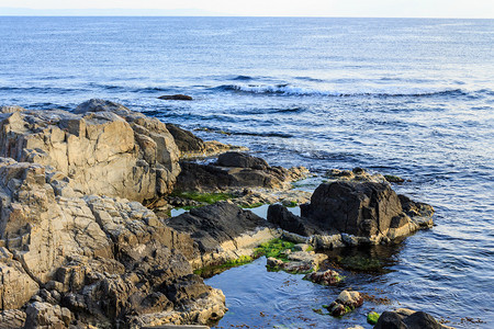 大海海草摄影照片_有海草的岩石海岸