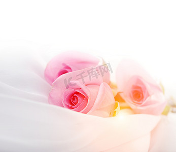 白色丝绸上的粉红玫瑰