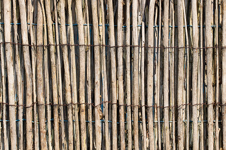 被风化的竹子或芦苇秸杆背景