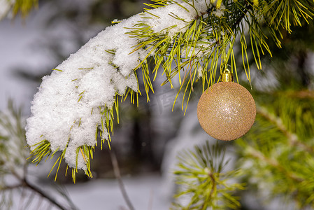 白雪覆盖的松树枝上的圣诞玩具