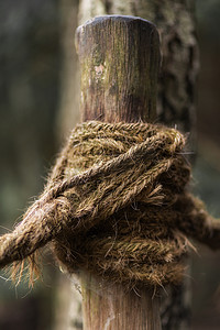 木柱上的绳结