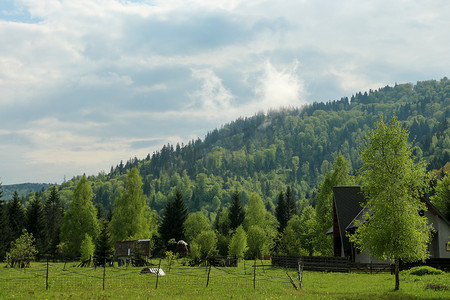 树木栅栏摄影照片_绿色自然 — 树木、森林和山脉 — 栅栏和房屋