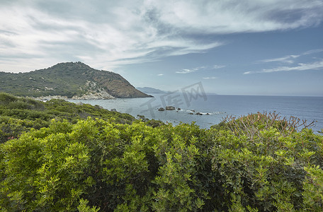 撒丁岛南部的绿色灌木和蓝色大海