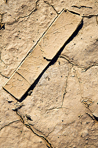 不孕不育卡通摄影照片_撒哈拉森林摘要中的棕色干沙