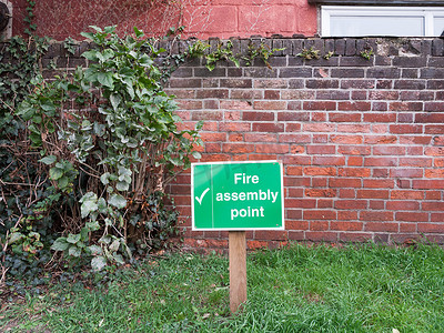 绿色消防集合点木制标志杆外安全