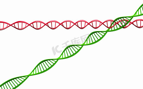 “3d 渲染，在白色 backgrou 上分离的扭曲 DNA 链模型”