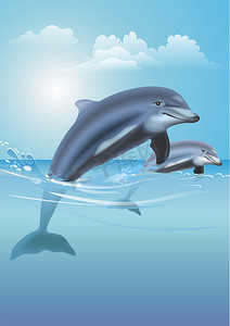 跳跃的海豚图