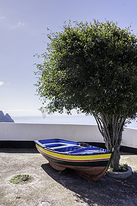 橄榄树和小船在海洋海岸线
