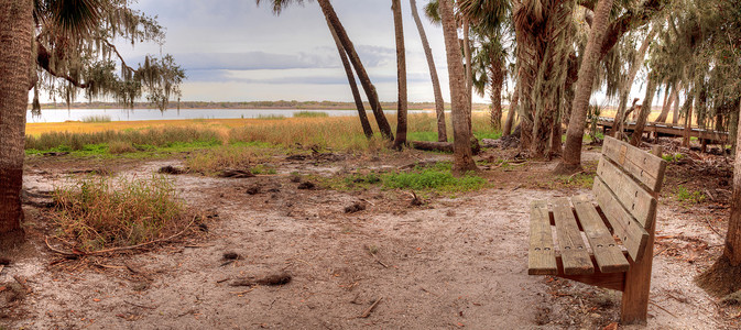 俯瞰 Myakka River S 湿地和沼泽的长凳