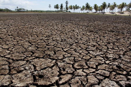 巴西东北部干旱