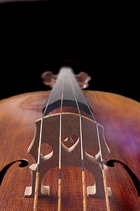 大提琴摄影照片_黑色背景中的大提琴