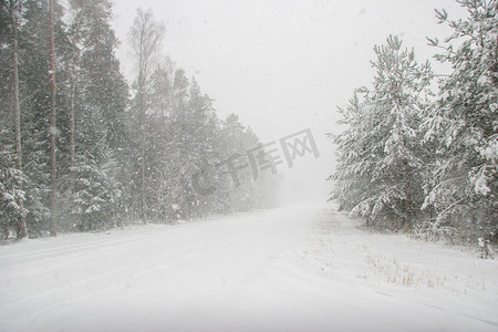 美丽的冬季景观与冬季森林中的雪路。