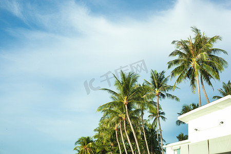 白色的建筑配上蓝天、白云和椰树。
