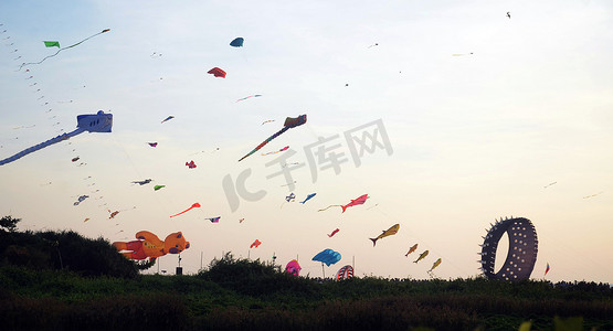 印度 - 文化 - 风筝节 - MANGALURU