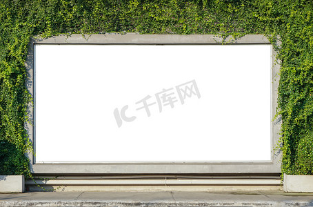 春夏海报摄影照片_春夏绿叶背景上的白色广告牌