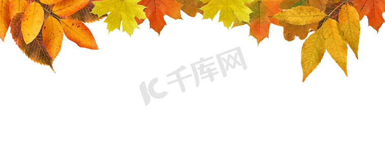 园形边框水彩水墨摄影照片_秋天的树叶边框