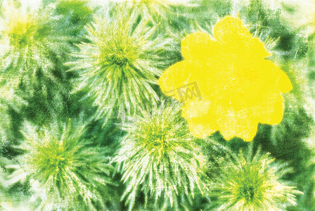 绿黄花摄影照片_“盛开的黄花绿枝，油画般的艺术品”