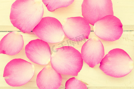 粉色玫瑰花瓣摄影照片_粉红玫瑰花瓣的年份。