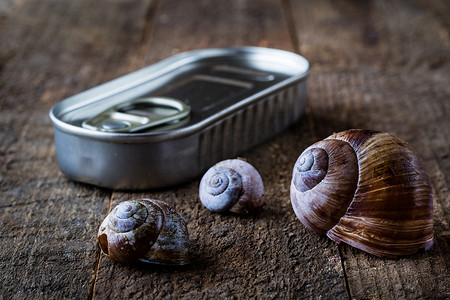 蜗牛壳和锡罐在一张木老桌上