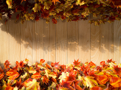 秋叶上的木质背景组合