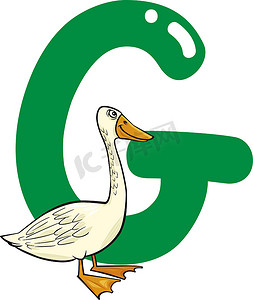 G代表鹅