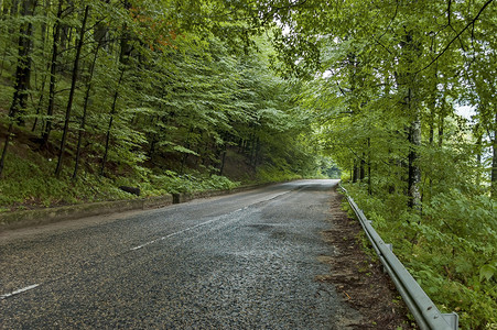 巴尔干山风景如画的道路在雨天