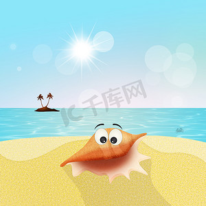 海洋卡通贝壳摄影照片_沙滩上的贝壳卡通
