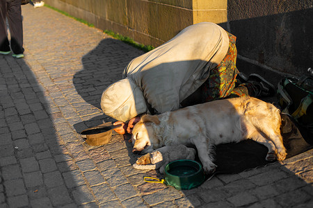 一名妇女跪在一只熟睡的狗和一只小狗旁边，在布拉格的查理大桥上向路人乞求施舍