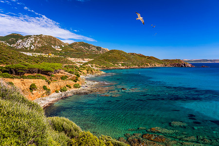 靠近意大利撒丁岛弗拉维亚港的 Spiaggia di Bega sa Canna（弗拉维亚港）海滩。