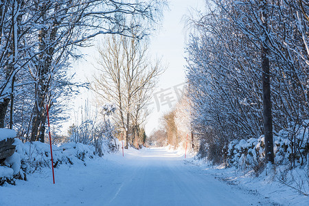 穿过多雪的冬天风景的乡间小路